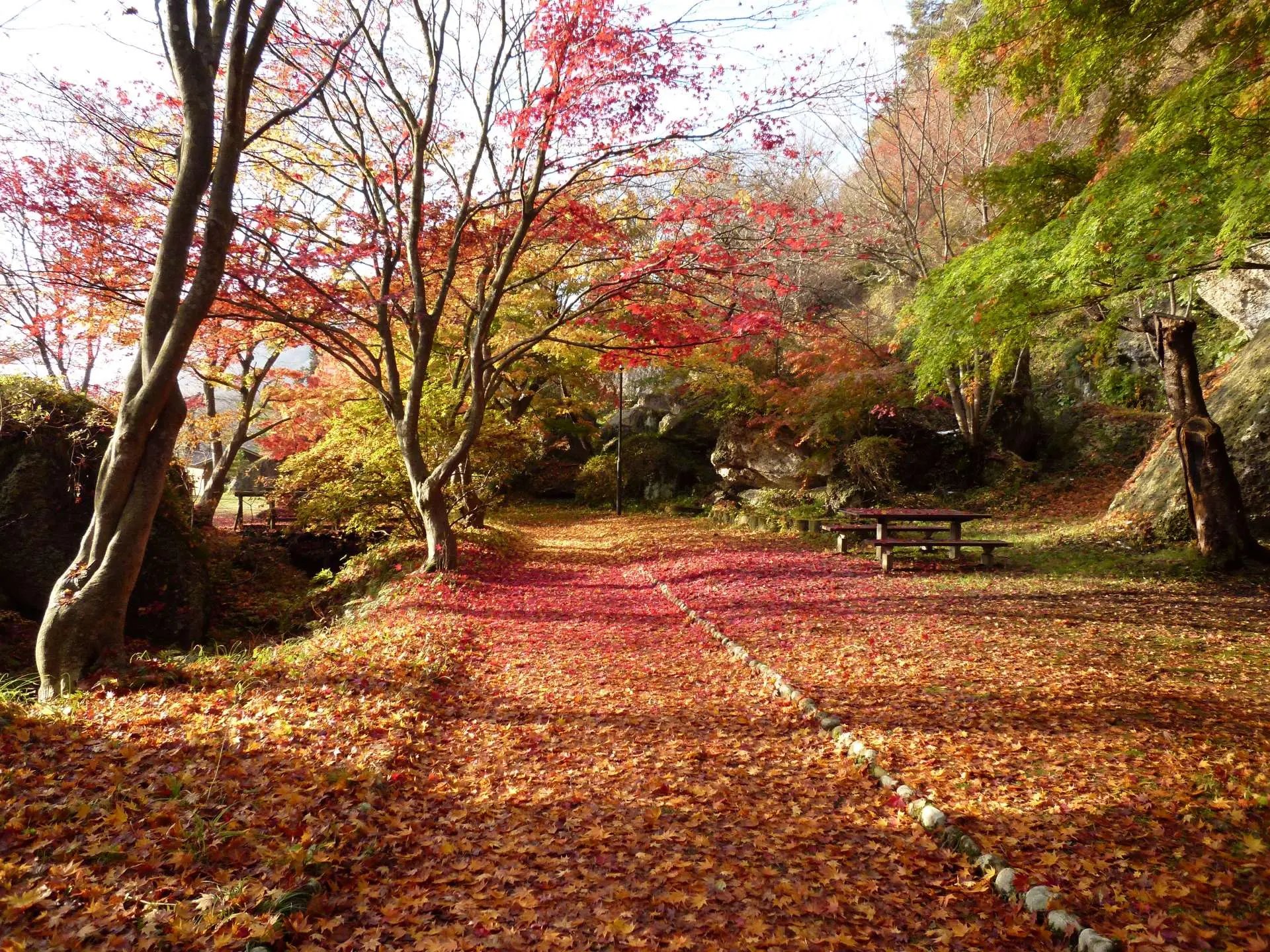 🏞️ 키미마치자카 현립 자연공원(키미마치자카 켄리츠 시젠 코엔) 이미지 8